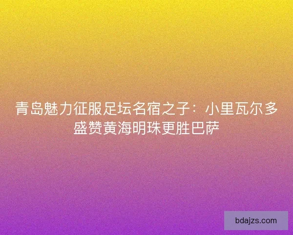 青岛魅力征服足坛名宿之子：小里瓦尔多盛赞黄海明珠更胜巴萨