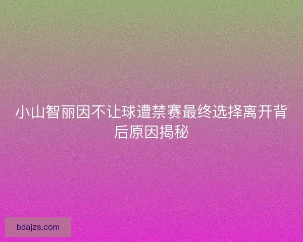 小山智丽因不让球遭禁赛最终选择离开背后原因揭秘